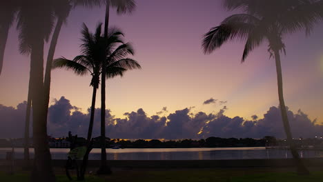 Mehrfarbiger-Himmel-Vor-Der-Morgendämmerung-Mit-Silhouettierten-Palmen-In-Südflorida,-U