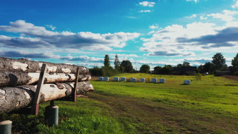 Silage-rolls-and-pine-log-pile-in-farmstead-backyard-on-sunny-summer-day-with-blue-sky