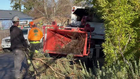 Two-men-with-hard-hats-feed-branches-into-a-woodchipper