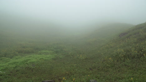 Tilting-up-shot-showing-a-foggy-valley-in-Lomas-de-Manzano,-Pachacamac,-Lima,-Peru