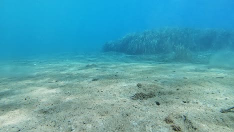 Scuba-Diving-Underneath-The-Ionian-Sea-At-Kefalonia-Island,-Greece