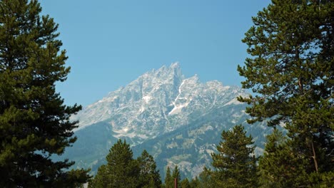 Stunning-landscape-nature-tilting-down-shot-of-the-majestic-Grand-Teton-National-Park-Mountain-Peak-with-pine-trees-on-each-side-framing-the-shot-on-a-warm-sunny-summer-day-near-Jackson-Hole,-Wyoming