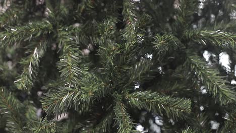 Weihnachtshintergrund,-Weihnachtsbaum-Ohne-Schmuck