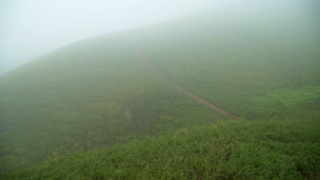 Tilting-down-shot-of-a-foggy-morning-off-the-slope-of-a-hill-in-Lomas-de-Manzano,-Pachacamac,-Lima,-Peru