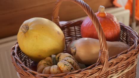 Basket-full-of-different-types-of-pumpkins-squashes-and-gourds-during-fall-season