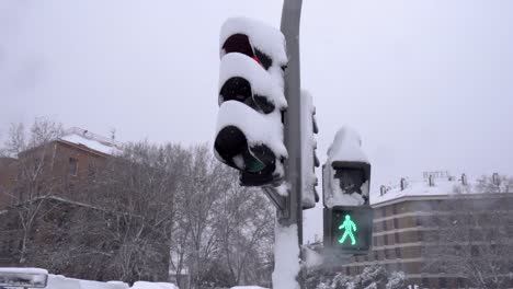 Traffic-light-covered-in-a-lot-of-snow