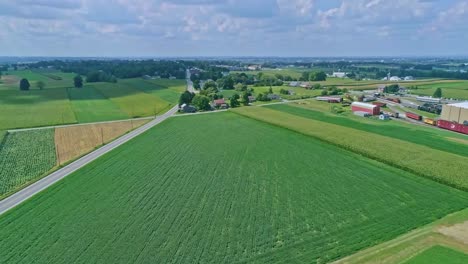 Eine-Luftaufnahme-Von-Maisfeldern-Und-Ernten-Mit-Farbflecken-An-Einem-Schönen-Sommertag