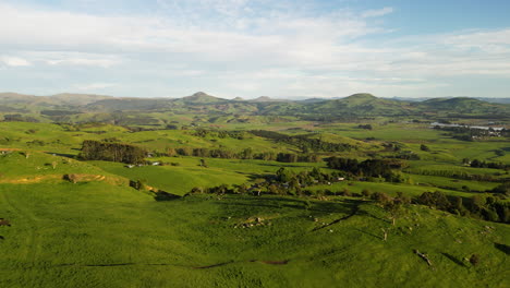 Vast-lush-greenery-in-Karitane-Dunedin-area-in-New-Zealand,-aerial-fly-forward