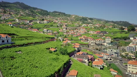 Aerial-moving-up-lush-hillside-terrace-farming-community-on-Madeira-Portugal
