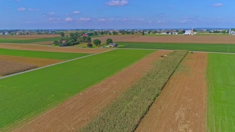 Eine-Luftaufnahme-Des-Ländlichen-Amerikas-Von-Amish-ackerland-Mit-Amish,-Die-An-Einem-Sonnigen-Sommertag-Die-Ernte-Ernten