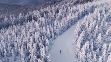 running-on-Hiking-trail-between-white-frozen-forest,-winter-landscape
