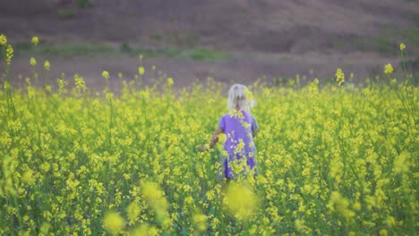 Süßes-Kleines-Mädchen-Geht-Durch-Ein-Feld-Gelber-Blumen-Von-Der-Kamera-Weg