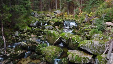 flying-above-a-river-bed-full-of-rocks-covered-with-moss-in-a-coniferous-forest