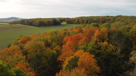 flying-over-a-colorful-autumnal-forest-towards-a-green-field,-sunny