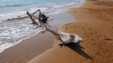 Waves-Splashing-On-Driftwood-At-Sandy-Shoreline-Of-Megas-Lakkos-Beach-In-Greece
