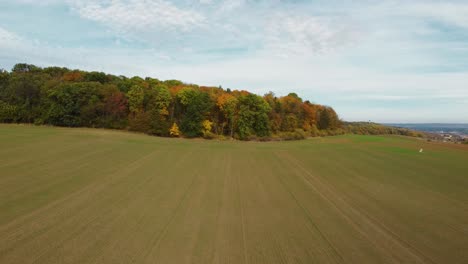 flying-over-a-green-field-towards-an-autumnal-forest-in-Czechia,-sunny