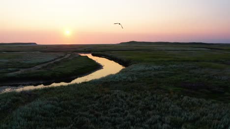 Luftdrohne-Zieht-Sich-Zurück-Auf-Rosa-Sonnenuntergang-über-Texel-Insel-Slufter-Dune,-Salzwassersumpf-Mit-Vogelflug-In-Der-Luft,-Niederlande