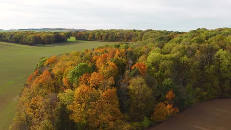 aerial-view-of-fields-and-an-autumnal-forest-in-Czechia,-sunny,-orbit
