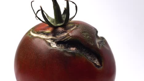 Rissige-Tomate-Beginnt-Zu-Schimmeln