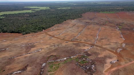 Aerial-view-of-the-"cerrado"-biome-area-and-part-deforested-for-agricultural-use,-City-of-Santa-Rosa-do-Tocantins,-State-of-Tocantins,-Brazil