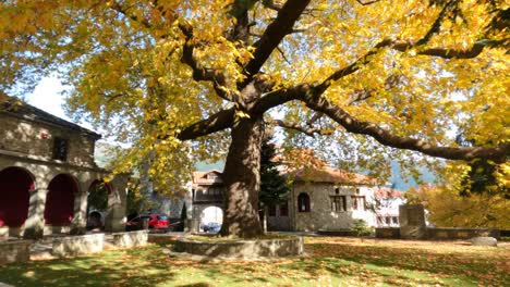 Schöner-Großer-Baum-Im-Herbst-In-Metsovo-Griechenland