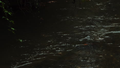 Zeitlupe-Des-Flusses,-Der-Im-Herbst-Im-Wald-Fließt