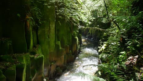 Friedlich-Fließender-Bach-Zwischen-Moosigen-Felswänden-Und-Dichtem-Waldpark-Bei-Sonnenlicht---Whirinaki-Nationalpark,-Nz