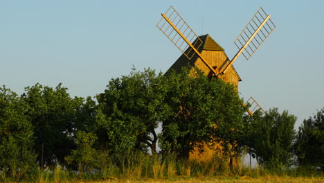 Zoom-out-view-of-a-wooden-historic-mill-standing-among-the-trees-of-apple-trees