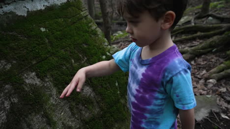 Kid-taking-off-and-throwing-moss-from-a-tree-bark