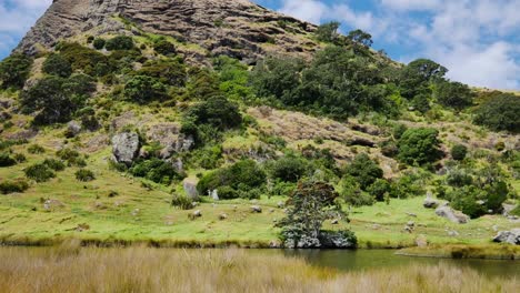 Beautiful-wide-shot-of-tranquil-river-and-giant-overgrown-mountain-during-sunny-day-near-Spirits-Bay,New-Zealand