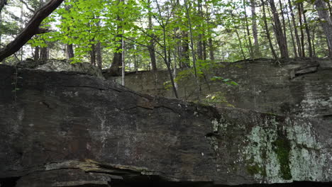 Black-stone-background-in-a-forest-tilt-shot