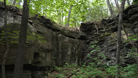 Schwarze-Sedimentgesteinsschichten-Schichten-Hintergrund-In-Einem-Feuchten-Wald