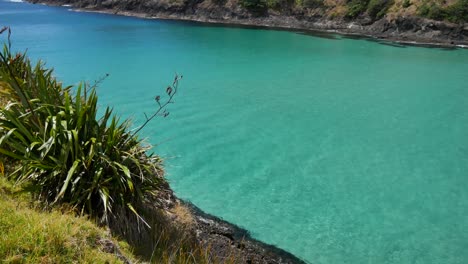 Wunderschönes-Türkisfarbenes-Wasser-Der-Spirits-Bay-In-Neuseeland-An-Sonnigen-Tagen---Schwenkaufnahme