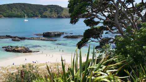 Aerial-wide-shot-of-tourist-and-kids-relaxing-on-sandy-beach-with-clear-water-and-coral-reef-during-summer---Maitai-Bay,New-Zealand