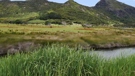 Panning-shot-of-beautiful-mountain-range,-farm-field-for-animals-and-small-river-with-plants-on-shore---Spirits-Bay,new-Zealand