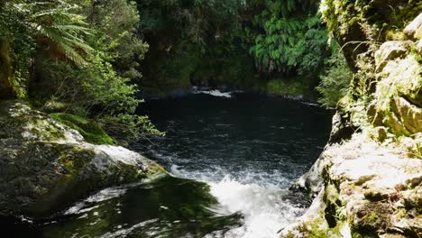 Fluss,-Der-In-Einen-Natürlichen-See-Fließt,-Umgeben-Von-Dichtem-Regenwald-Des-Whirinaki-Nationalparks