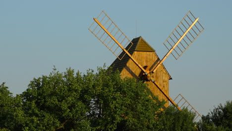 View-of-a-wooden-historic-mill-and-its-blades-standing-among-the-apple-trees