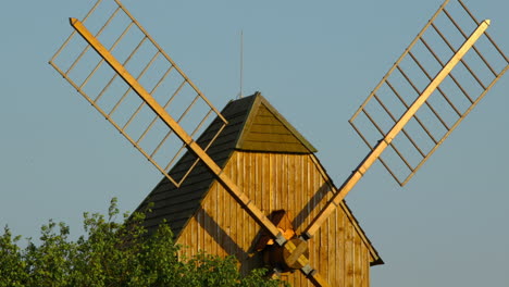 Blick-Auf-Eine-Historische-Holzmühle-Und-Ihre-Flügel,-Die-Zwischen-Den-Apfelbäumen-Stehen