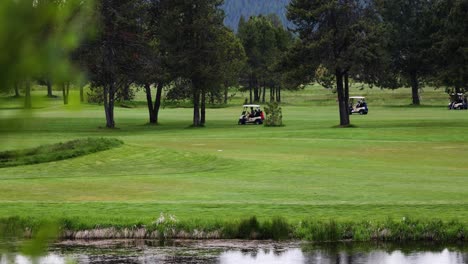 Golfspieler,-Die-Hinter-Den-Bäumen-Auf-Einem-Golfwagen-Fahren