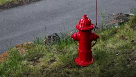 Red-Fire-Hydrant-On-The-Grass-Along-The-Street