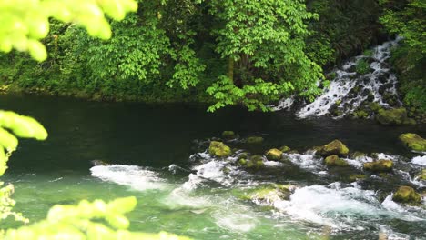 Schnell-Fließender-Strom-Eines-Flussberges-Auf-Regenwald-Im-Sommer