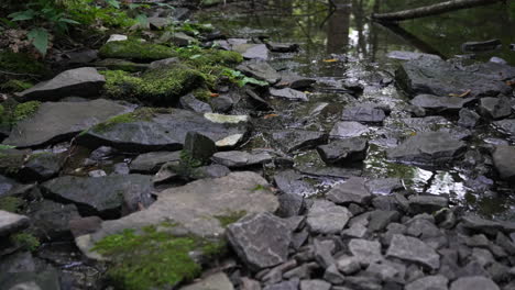Forest-creek-river-with-small-black-flat-stones-nature-background
