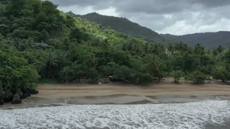 Toma-De-Drones-Hacia-Atrás-Del-Paisaje-Verde-Tropical,-Playa-De-Arena-Y-Océano-Atlántico-Durante-El-Día-Nublado-Gris---Playa-El-Valle,-República-Dominicana