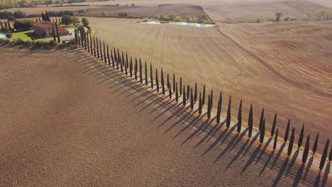 Slow-rotating-droneshot-over-Tuscan-villa-with-typical-cypress-trees-on-the-driveway-in-4k