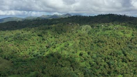 Drone-flying-over-green-and-lush-forest-near-Samana-bay-in-Dominican-Republic