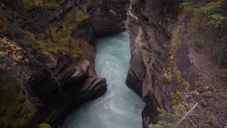 Athabasca-River-Canyon,-Jasper-National-Park,-Alberta,-Canada,-Downstream-of-Scenic-Falls,-Alpine-Water-Rapids,-Slow-Motion