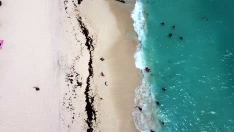 Disparo-De-Drones-Alejándose-De-Personas-Nadando-En-El-Caribe-Y-Palapas-De-Cabañas-En-La-Playa