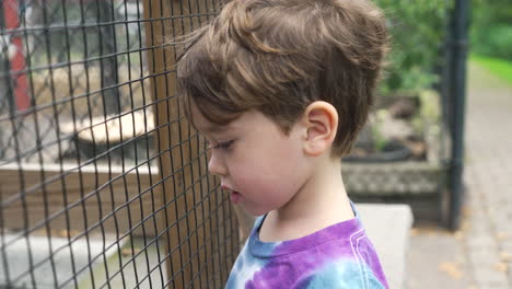 portrait-of-an-American-boy-at-the-zoo-looking-at-the-animals-through-the-fence-of-the-cage