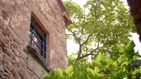 Window-And-Stone-Facade-Of-An-Old-House-With-Tree-On-A-Windy-Day