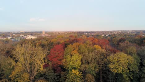 Skyline-Des-Wunderschönen-Farbigen-Herbstparks-In-Woluwe,-Brüssel---Belgien